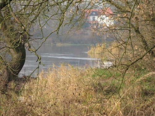 Warta pomiędzy Rogalinkiem i Puszczykowem.