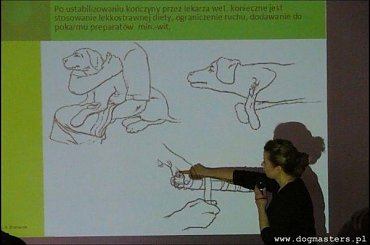 Pierwszy z cyklu wykładów Poznaj i zrozum swojego psa w ośrodku W Psim Stylu w Katowicach. #WPsimStylu #DogMasters #SzkoleniePsów #TresuraPsów #psy