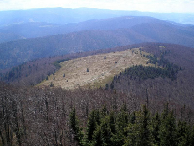 Polana Stumorgowa z wieży widokowej na Mogielicy #góry #beskidy #BeskidWyspowy #mogielica