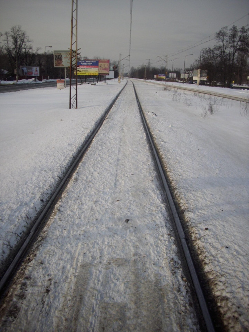 Aż tu nagle... duuużo śniegu #Zima #Warszawa #śnieg #Międzylesie