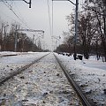 Aż tu nagle... duuużo śniegu #Wawer #śnieg #Warszawa #Zima #ToryKolejowe