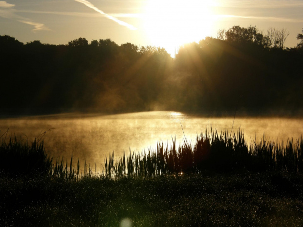 wschód nad Rusałką