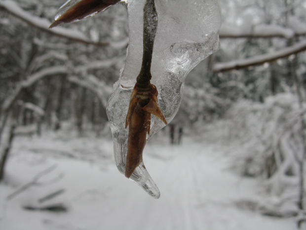 W okowach lodu. #zima #Jura #narty