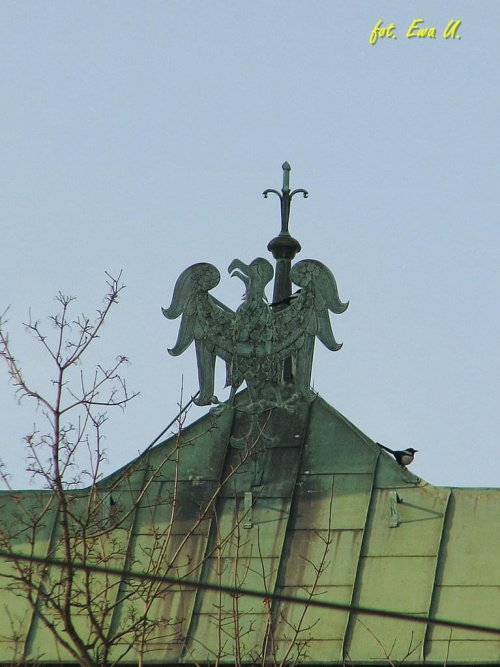 na dachu kościoła :)