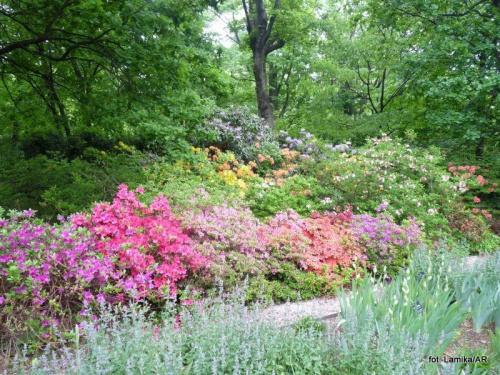 Ogród Botaniczny UW