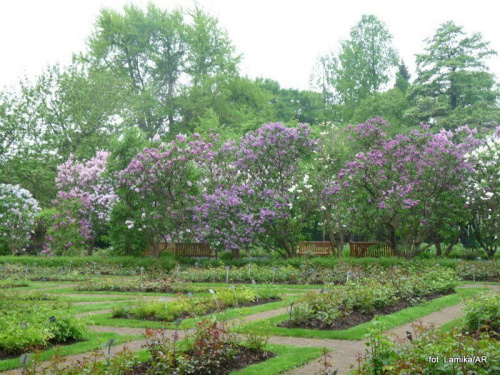 Ogród Botaniczny UW
