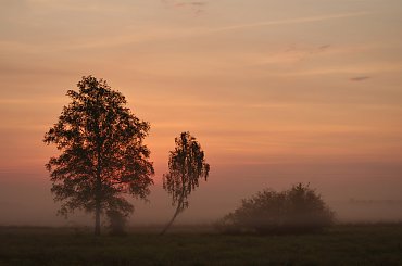 #mgła #łąki #świt #rano #natura