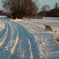 dalej też nie jest dobrze bo Uniaczek by się nie przedarł