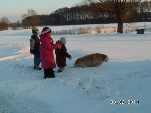 Maluchy sąsiadów wybiegły poklepać Lady