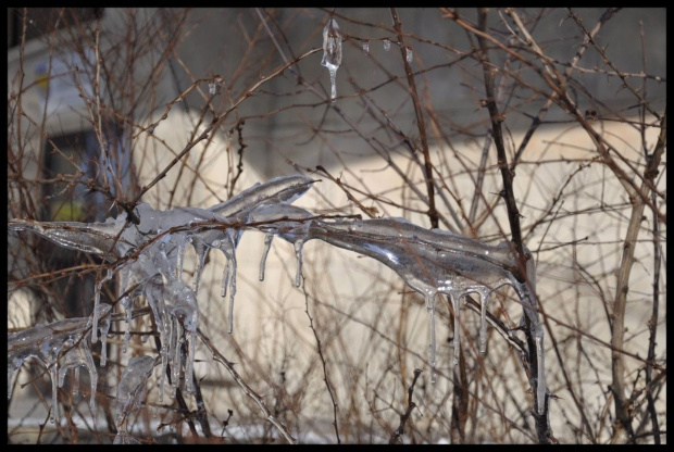 Zima w WPKIW Chorzów #zima #park #wpkiw #lód