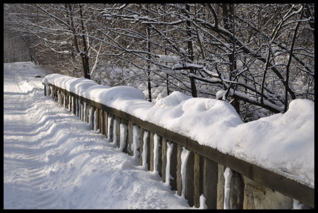 Zima w WPKIW Chorzów #zima #park #wpkiw