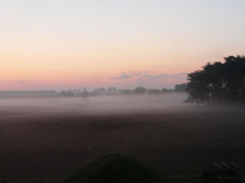 Cerekwica, poranna mgła nad Pamiątkowskim Potokiem. #mgła #poranek