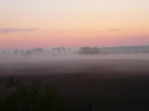 Cerekwica, poranna mgła. #mgła #poranek