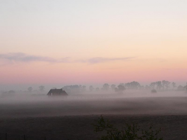 Cerekwica, poranna mgła. #mgła #poranek