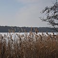 Jezioro Strzeszyńskie skute lodem