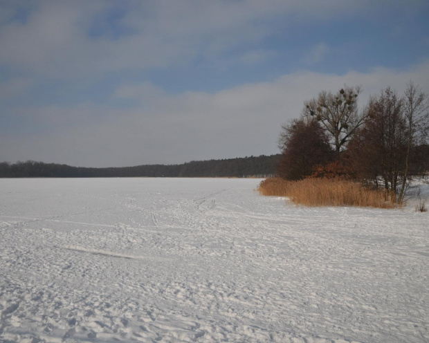 Jezioro Strzeszyńskie skute lodem