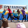 Dance Division 2007/2008