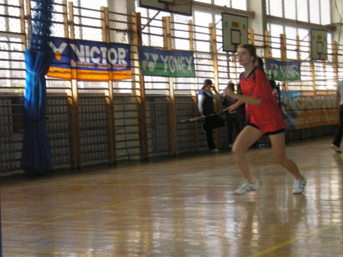 Badminton 2008/2009