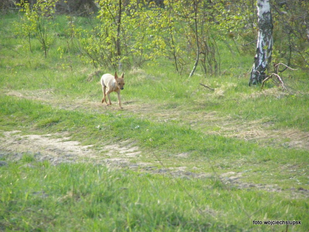 różne