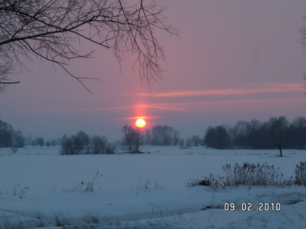 Może troszkę ubarwimy tą zimę