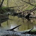 Szwajcaria Godurowska to malowniczy teren który został tak nazywany przez mieszkańców gminy . Miejsce ciszy i spokoju ... Drewniany most, wolno przepływająca woda i piękno przyrody zachwycają amatorów pieszych, rowerowych i konnych wycieczek z całego p...