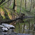 Szwajcaria Godurowska to malowniczy teren który został tak nazywany przez mieszkańców gminy . Miejsce ciszy i spokoju ... Drewniany most, wolno przepływająca woda i piękno przyrody zachwycają amatorów pieszych, rowerowych i konnych wycieczek z całego p...