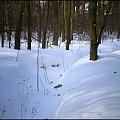 Następną wyprawę niedzielną robię do lasu :)