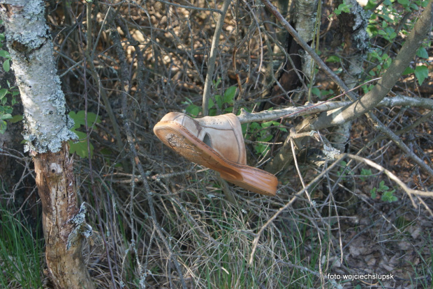 poranek nad wodą
cisza spokój
sielanka