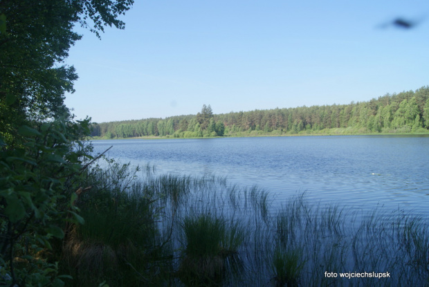 poranek nad wodą
cisza spokój
sielanka