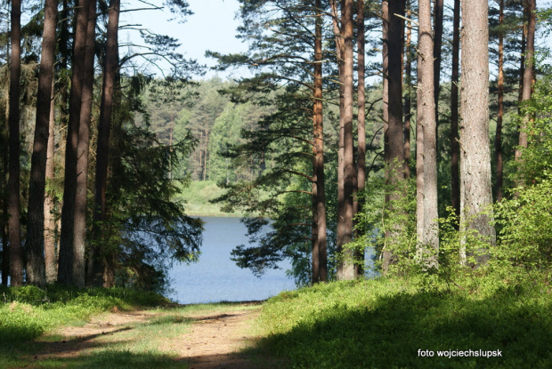poranek nad wodą
cisza spokój
sielanka