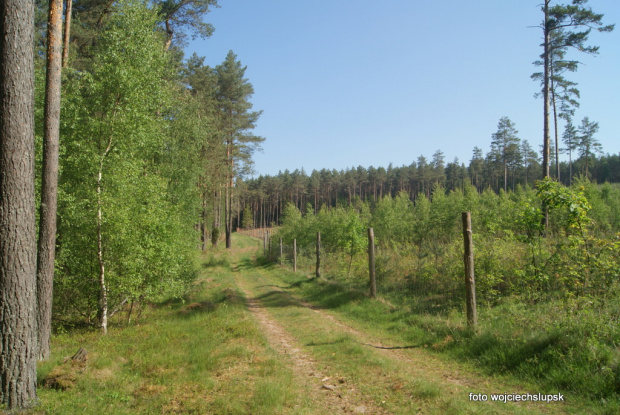 poranek nad wodą
cisza spokój
sielanka