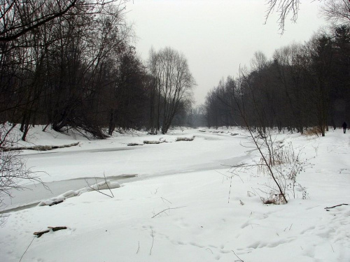 Bystrzyca - spora rzeka o rwącym prądzie a jednak tez zima ją pokonała