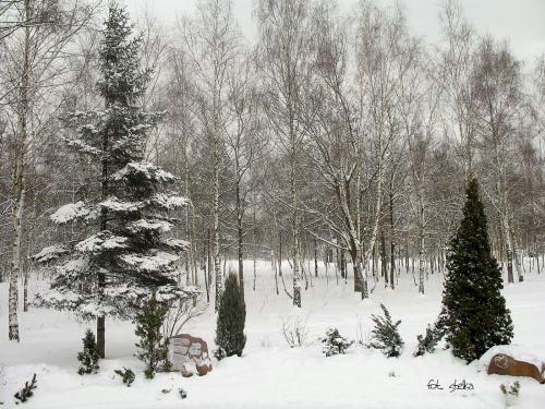 mimo zaklęć, nie ma zamiaru odpuścić ... zima ... #zima #śnieg #mróz