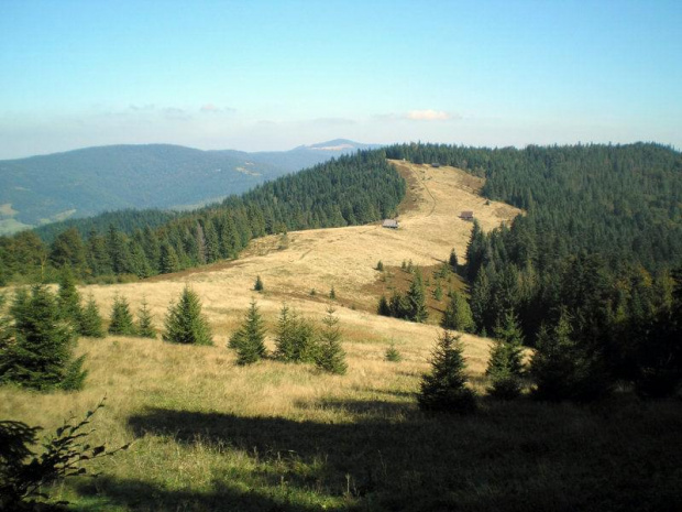 Polana Podskały w Gorcach #BeskidSądecki #BeskidWyspowy #beskidy #gorce #góry #pieniny