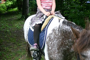 Konik w przedszkolu „średniaczki” 07.06.2011 #Piekarska