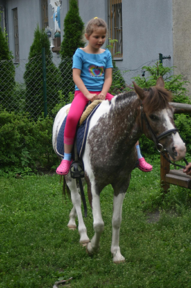 Konik w przedszkolu „średniaczki” 07.06.2011 #Piekarska