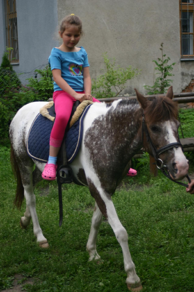 Konik w przedszkolu „średniaczki” 07.06.2011 #Piekarska