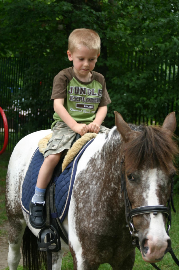 Konik w przedszkolu „średniaczki” 07.06.2011 #Piekarska