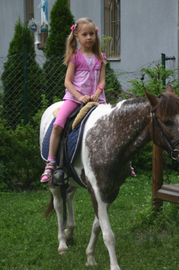 Konik w przedszkolu „średniaczki” 07.06.2011 #Piekarska