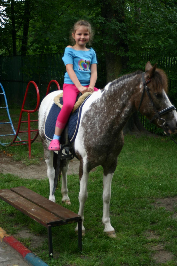 Konik w przedszkolu „średniaczki” 07.06.2011 #Piekarska