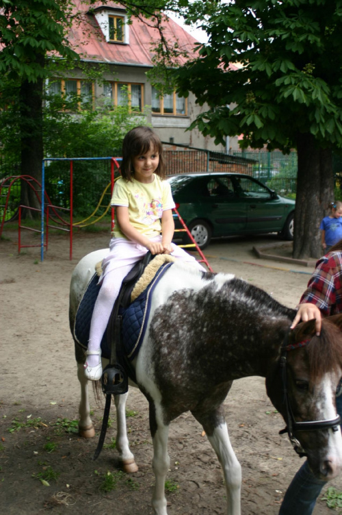 Konik w przedszkolu „średniaczki” 07.06.2011 #Piekarska