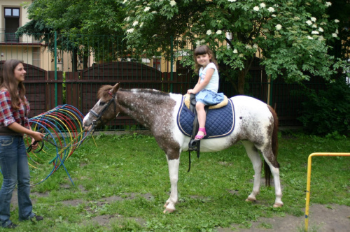 Konik w przedszkolu „średniaczki” 07.06.2011 #Piekarska