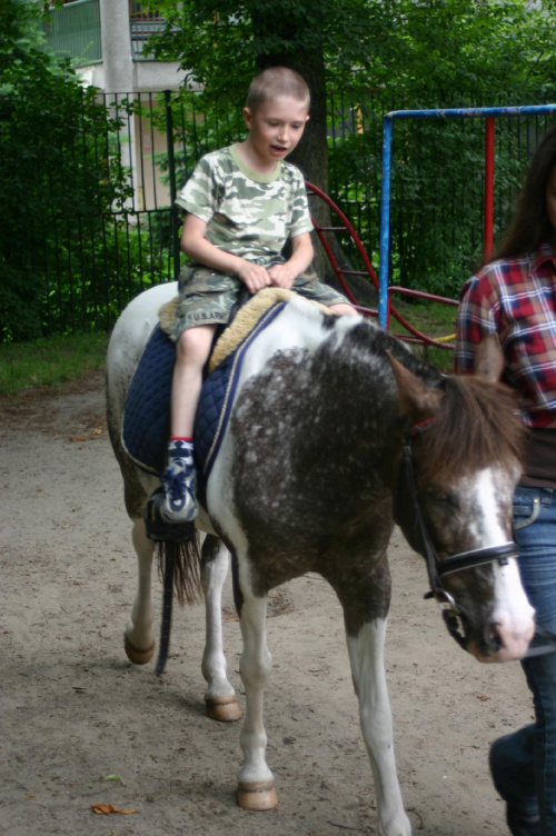 Konik w przedszkolu „średniaczki” 07.06.2011 #Piekarska