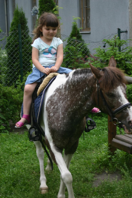 Konik w przedszkolu „średniaczki” 07.06.2011 #Piekarska