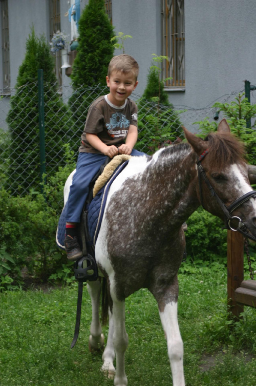 Konik w przedszkolu „średniaczki” 07.06.2011 #Piekarska