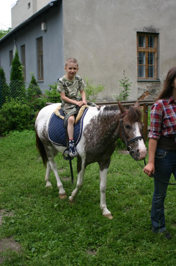 Konik w przedszkolu „średniaczki” 07.06.2011 #Piekarska