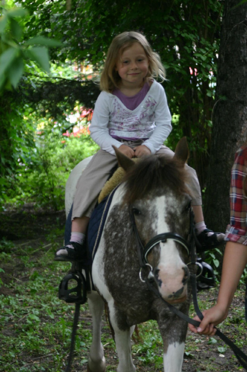 Konik w przedszkolu „średniaczki” 07.06.2011 #Piekarska