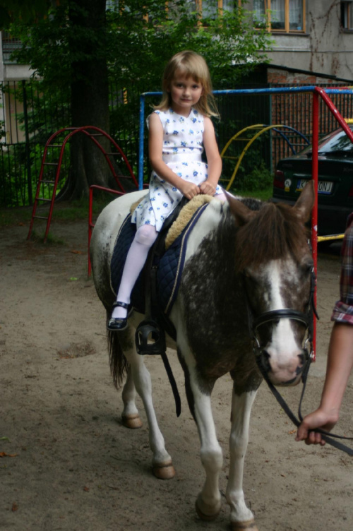 Konik w przedszkolu „średniaczki” 07.06.2011 #Piekarska