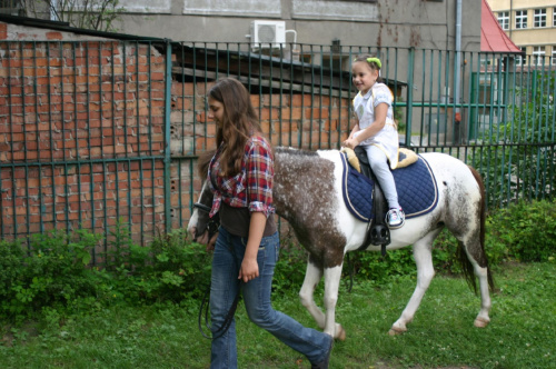 Konik w przedszkolu „średniaczki” 07.06.2011 #Piekarska
