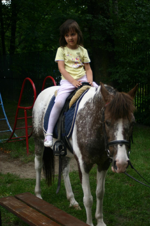 Konik w przedszkolu „średniaczki” 07.06.2011 #Piekarska